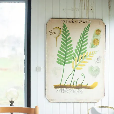 Ferienhaus Retro Close To The