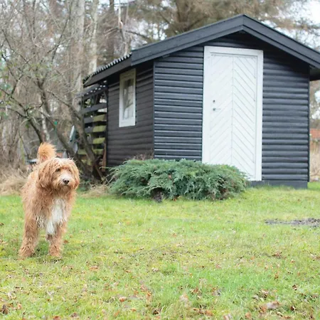 Retro Close To The Ferienhaus *